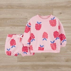 Baby Girl's Carter's 2 piece set Raspberry Sweater‎ and Short Set 6 months